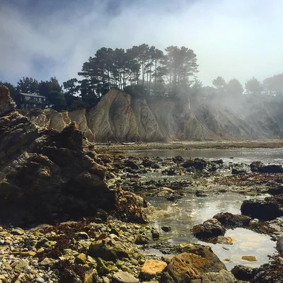 Bowling Ball Beach, Point Arena, California Coast, Vereinigte Staaten — 3