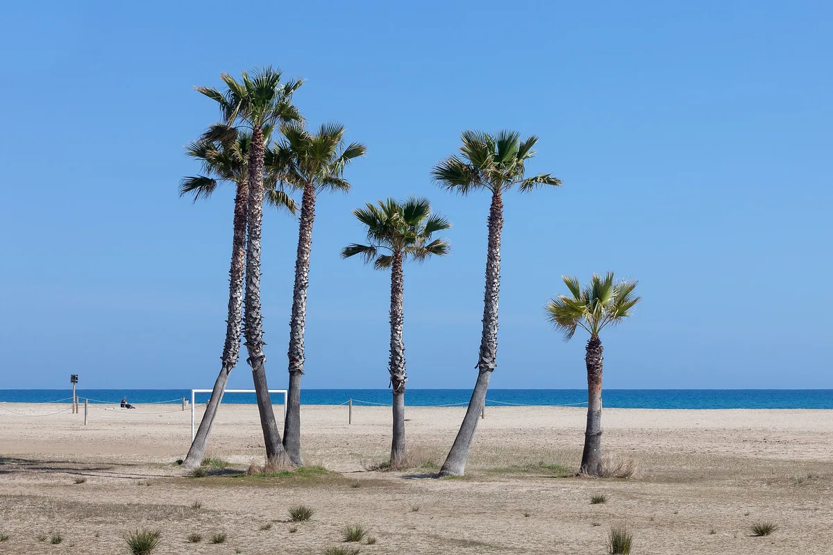 Platja de Coma-ruga, El Vendrell, Catalonia, España — 5