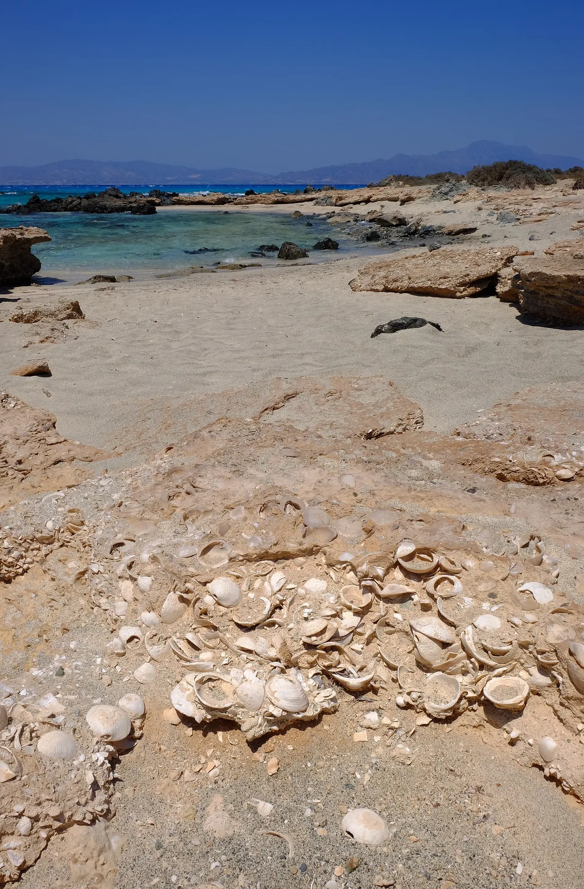 Playa de Chrysi (Gaidouronisi), Ierapetra, Crete, Grecia — 4