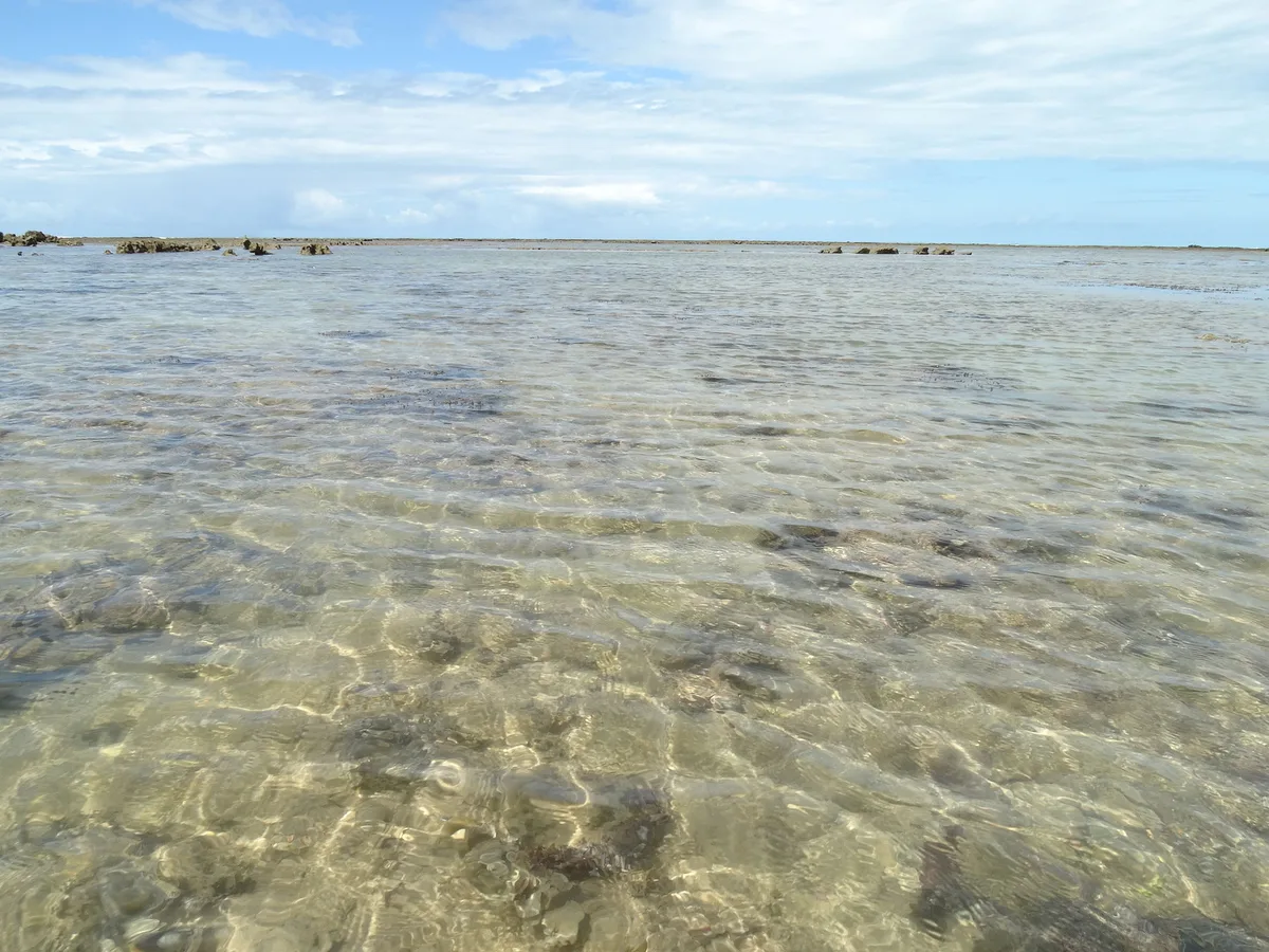 Plage de Caraíva, Porto Seguro, Brazilian Atlantic, Brésil — 5