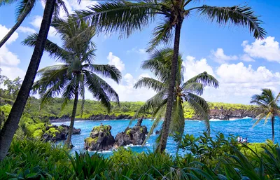 Plage de Wai'ānapanapa State Park