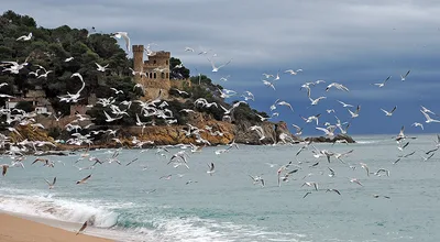 Platja de Lloret de Mar