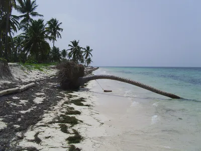 Cabeza de Toro-strand