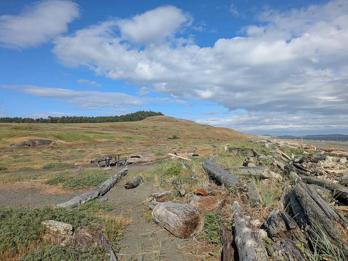 South Beach, Friday Harbor, US Pacific Northwest, Estados Unidos — 5