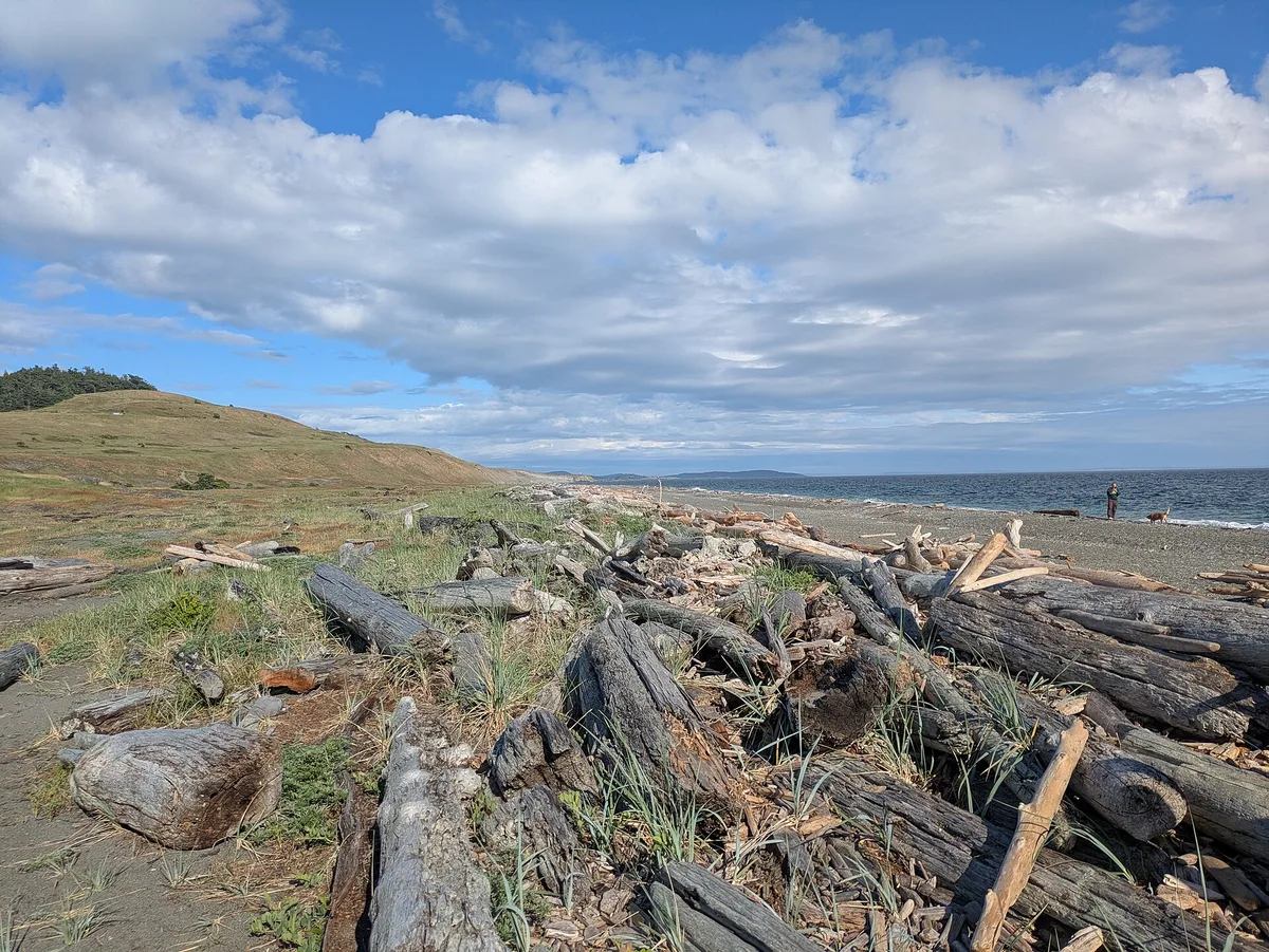 South Beach, Friday Harbor, US Pacific Northwest, Estados Unidos — 3