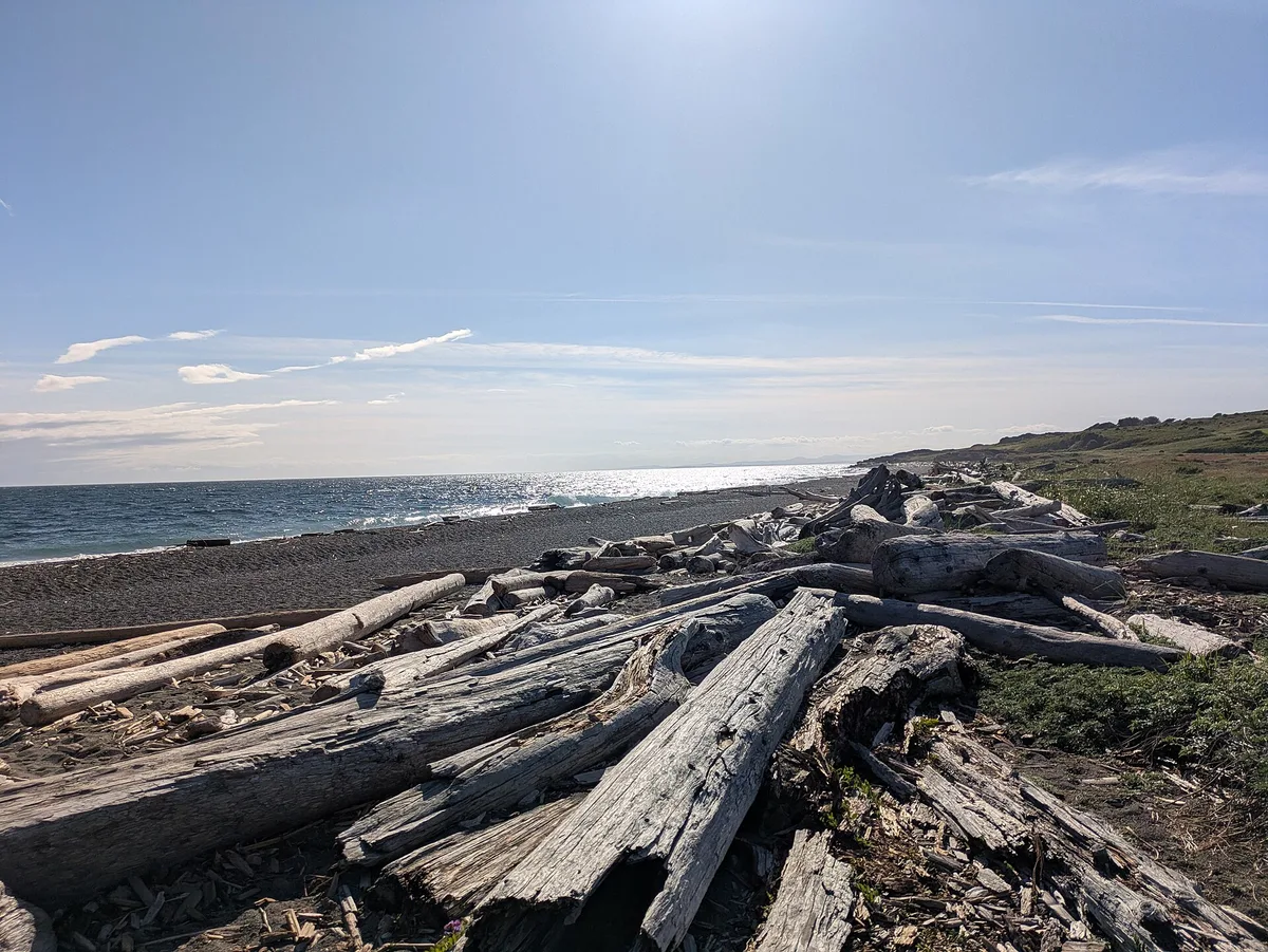 South Beach, Friday Harbor, US Pacific Northwest, Estados Unidos — 4