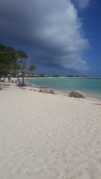 Rodgers Beach
