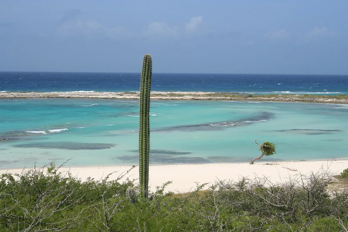 Rodgers Beach, San Nicolas, Lesser Antilles, Aruba — 3