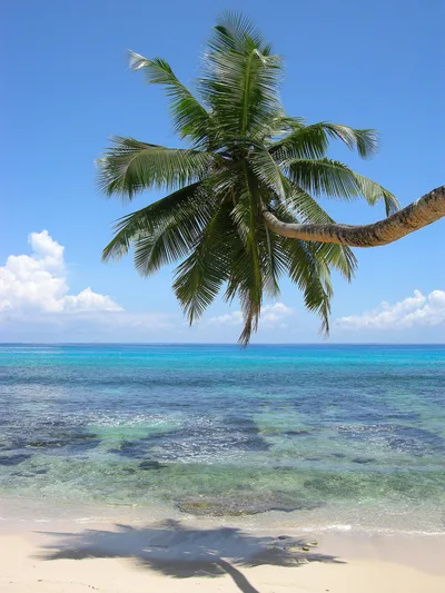 Plage de l'Anse Takamaka