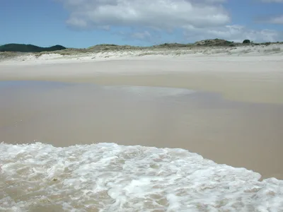 Otama Beach, Otama, Waikato, Neuseeland — 3
