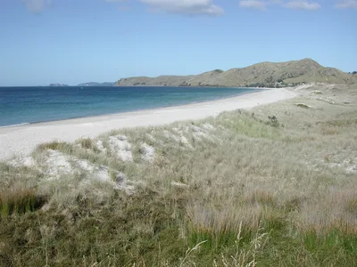 Otama Beach, Otama, Waikato, Neuseeland — 2