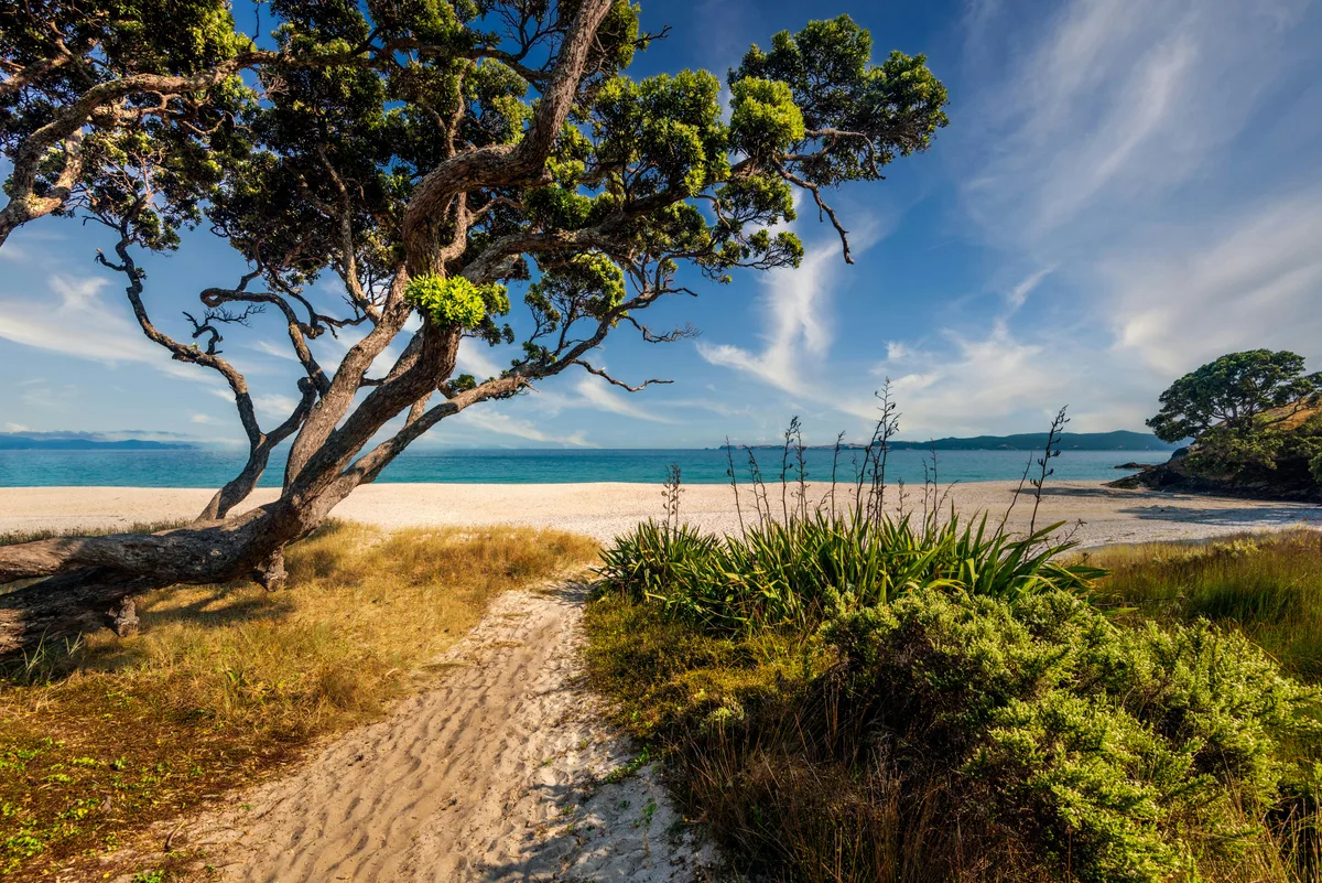 Otama Beach, Otama, Waikato, Neuseeland