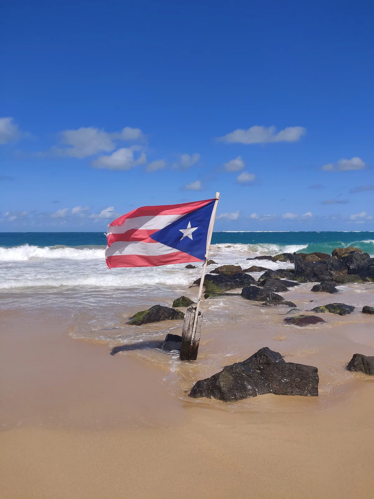 Plage de Condado, San Juan, Greater Antilles, Puerto Rico