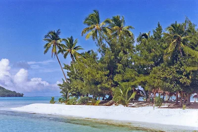 Motu Tapu Beach