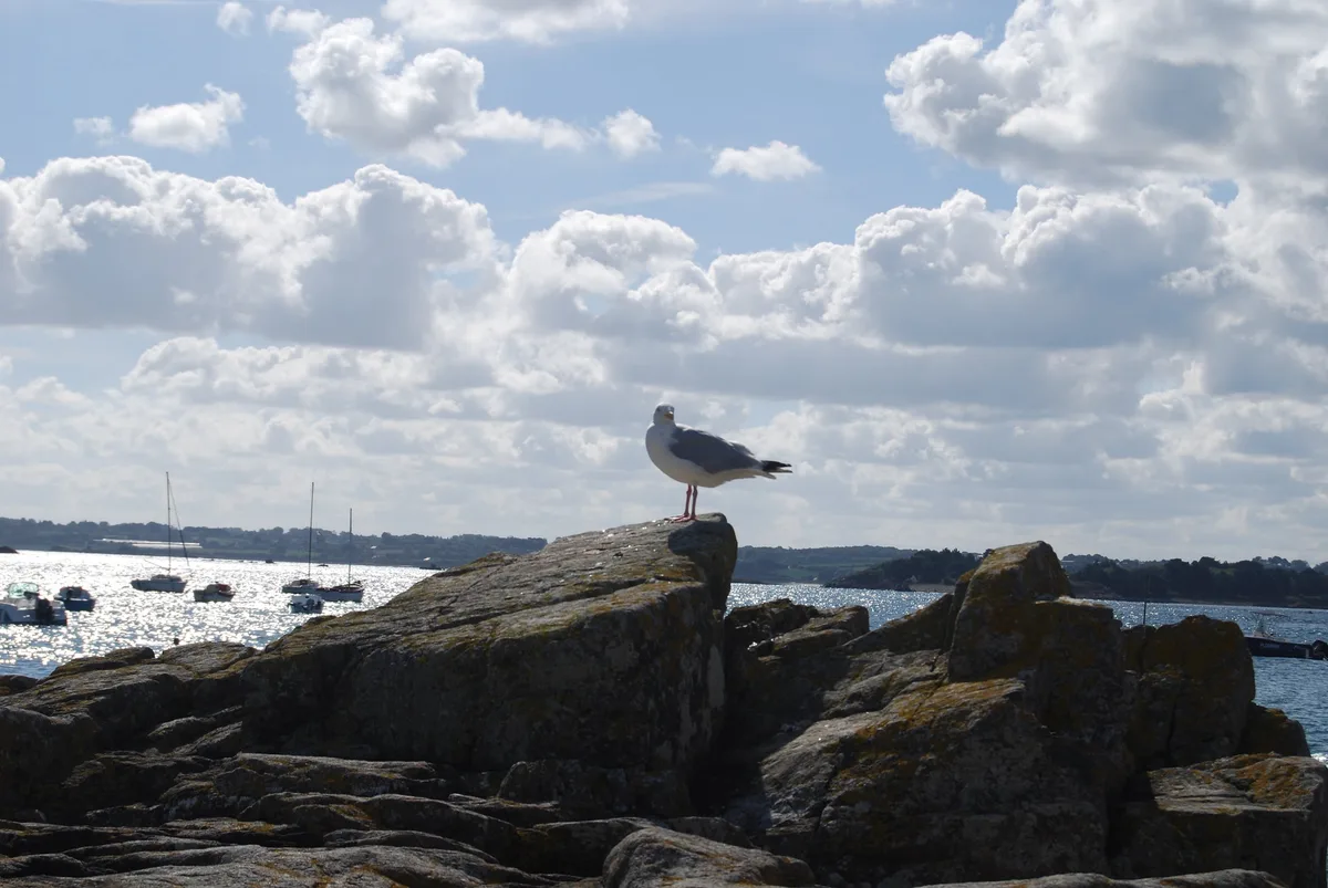 Pors Hir-Strand, Pleumeur-Bodou, Brittany, Frankreich — 4