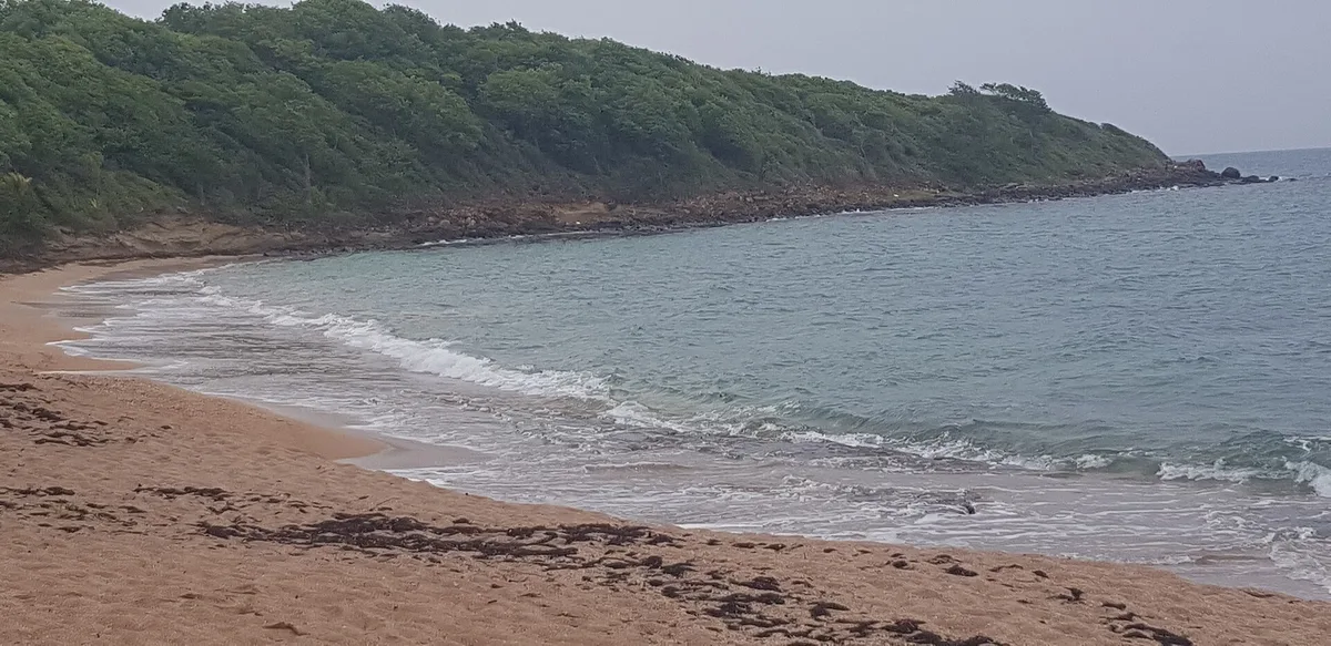 Manbia-Strand, Sainte-Rose, Guadeloupe, Frankreich