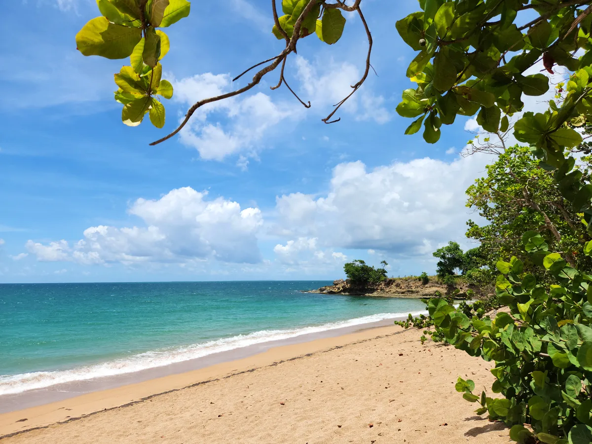 Manbia-Strand, Sainte-Rose, Guadeloupe, Frankreich — 2