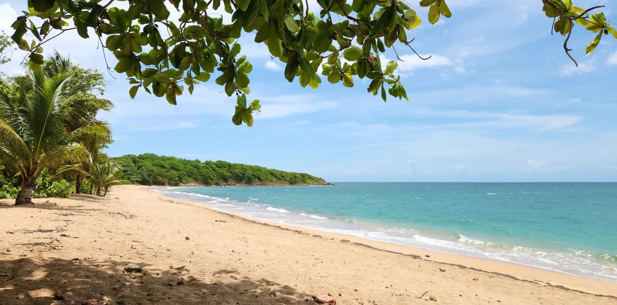 Manbia-Strand, Sainte-Rose, Guadeloupe, Frankreich — 3