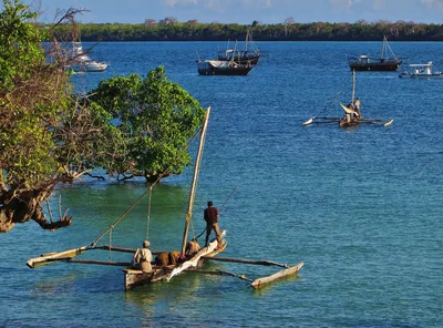 Spiaggia di Shimoni