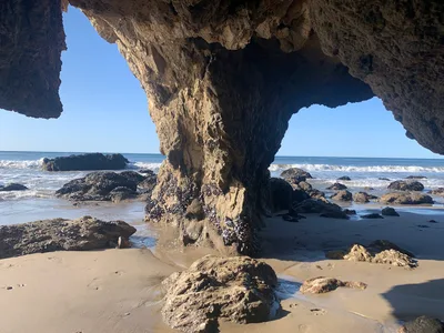 Encinal Beach