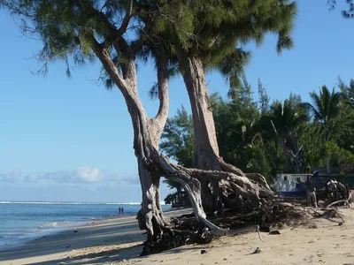 Hermitage Beach, Saint-Paul, Réunion, France — 2