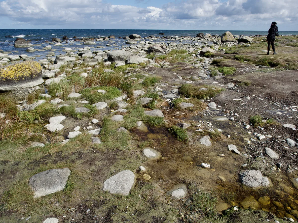 Kap Arkona Beach, Putgarten, Baltic Sea, Germany — 6