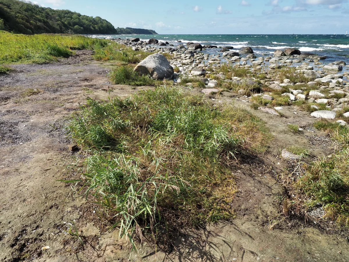 Kap Arkona Beach, Putgarten, Baltic Sea, Germany — 5