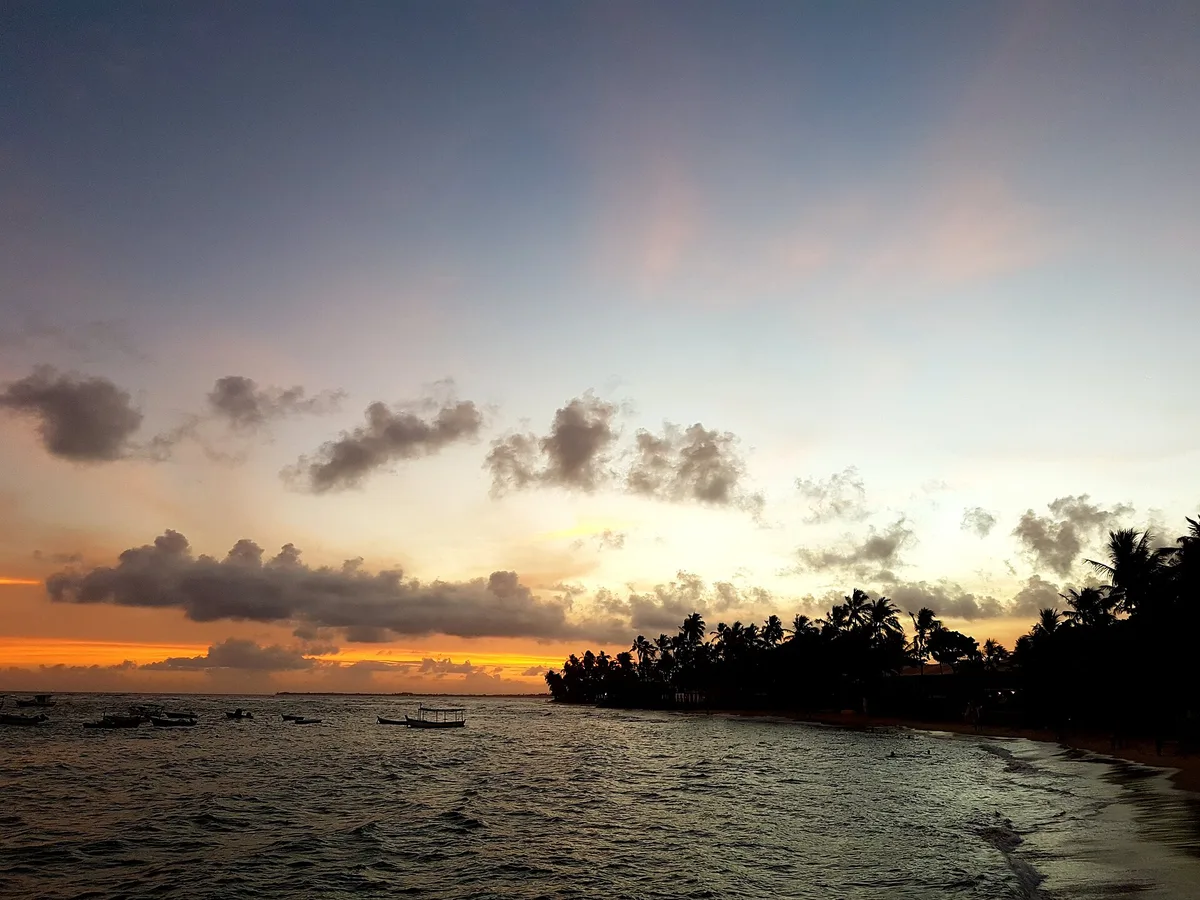 Plage du Forte, Mata de São João, Brazilian Atlantic, Brésil