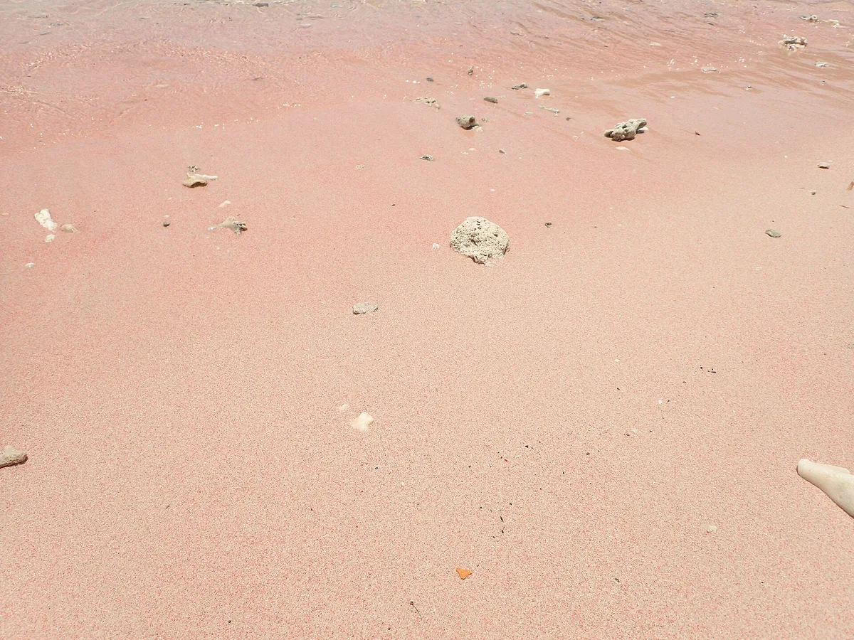 Plage de Merah, Komodo, Lesser Sunda Islands, Indonésie — 2
