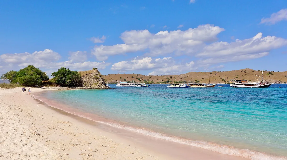 Plage de Merah, Komodo, Lesser Sunda Islands, Indonésie