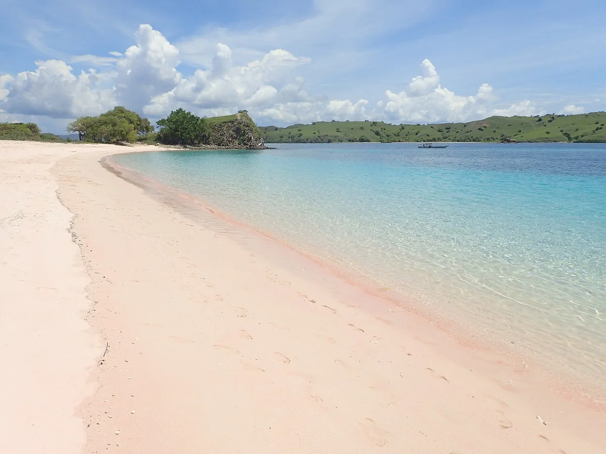 Plage de Merah, Komodo, Lesser Sunda Islands, Indonésie — 3
