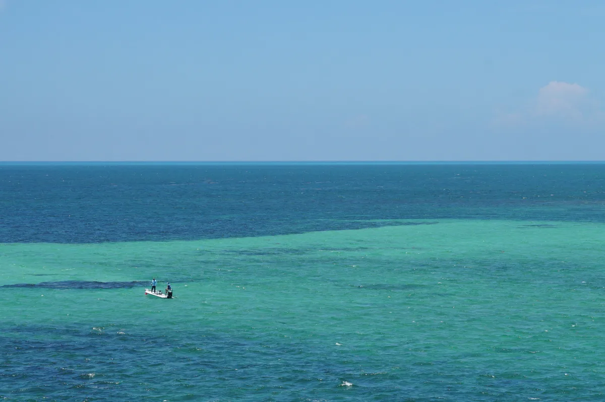 Calusa-Strand, Big Pine Key, Florida Keys, Vereinigte Staaten — 3