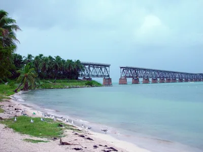 Calusa-Strand, Big Pine Key, Florida Keys, Vereinigte Staaten — 6