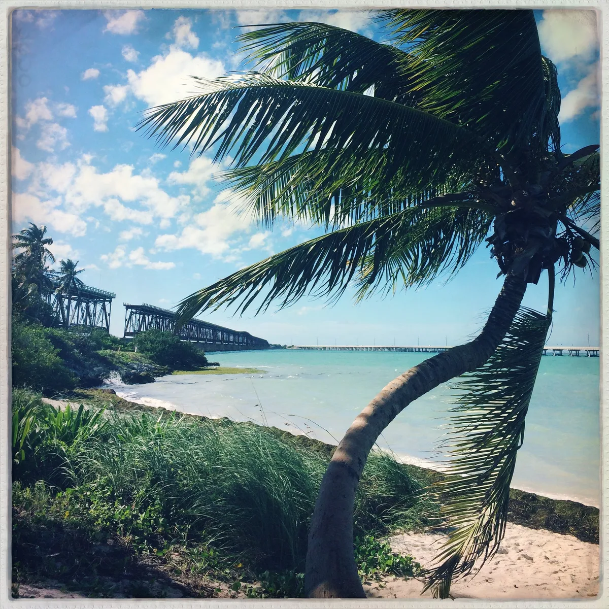 Calusa-Strand, Big Pine Key, Florida Keys, Vereinigte Staaten — 4