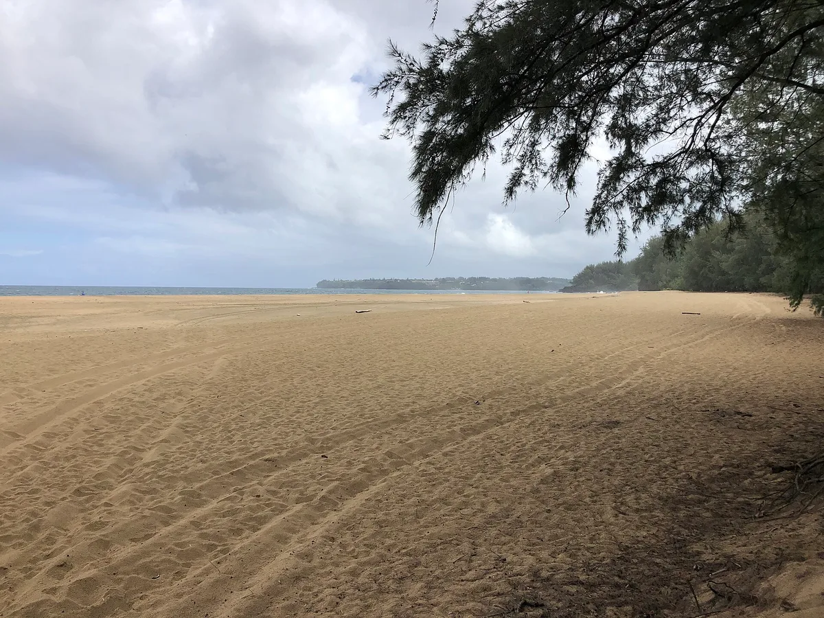 Plage de Lumaha'i, Hanalei, Hawaii, États-Unis — 5