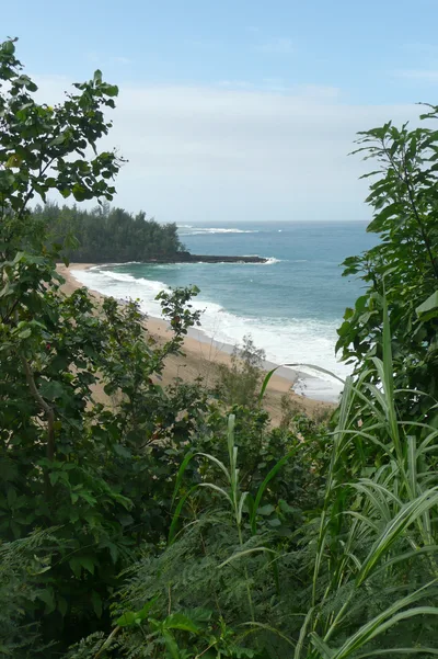 Plage de Lumaha'i