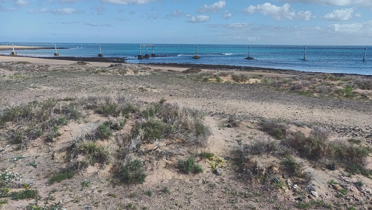 Plage de Matagorda, Tías, Canary Islands, Espagne — 4