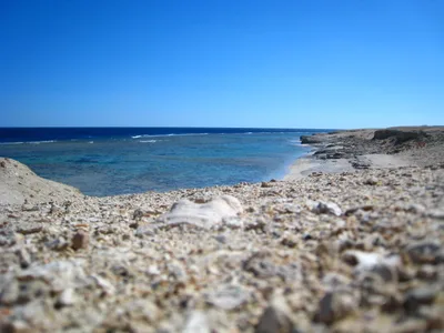 Marsa Alam City-Strand, Marsa Alam, Red Sea, Ägypten — 5