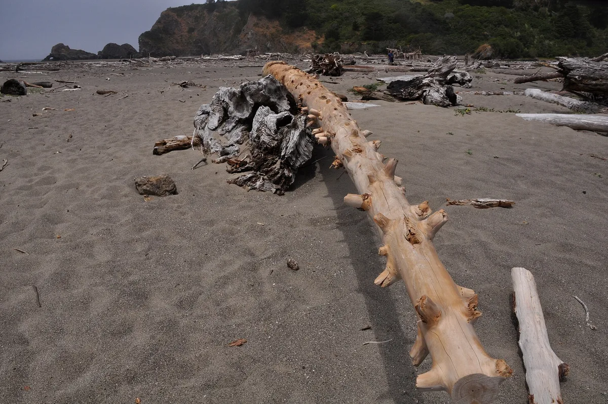 Plage de Navarro, Albion, California Coast, États-Unis — 4