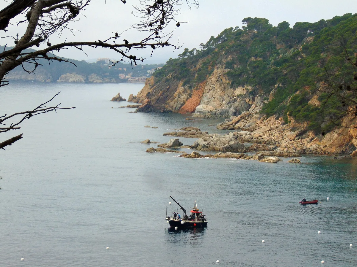 Cala Estreta, Palamós, Catalonia, España — 4