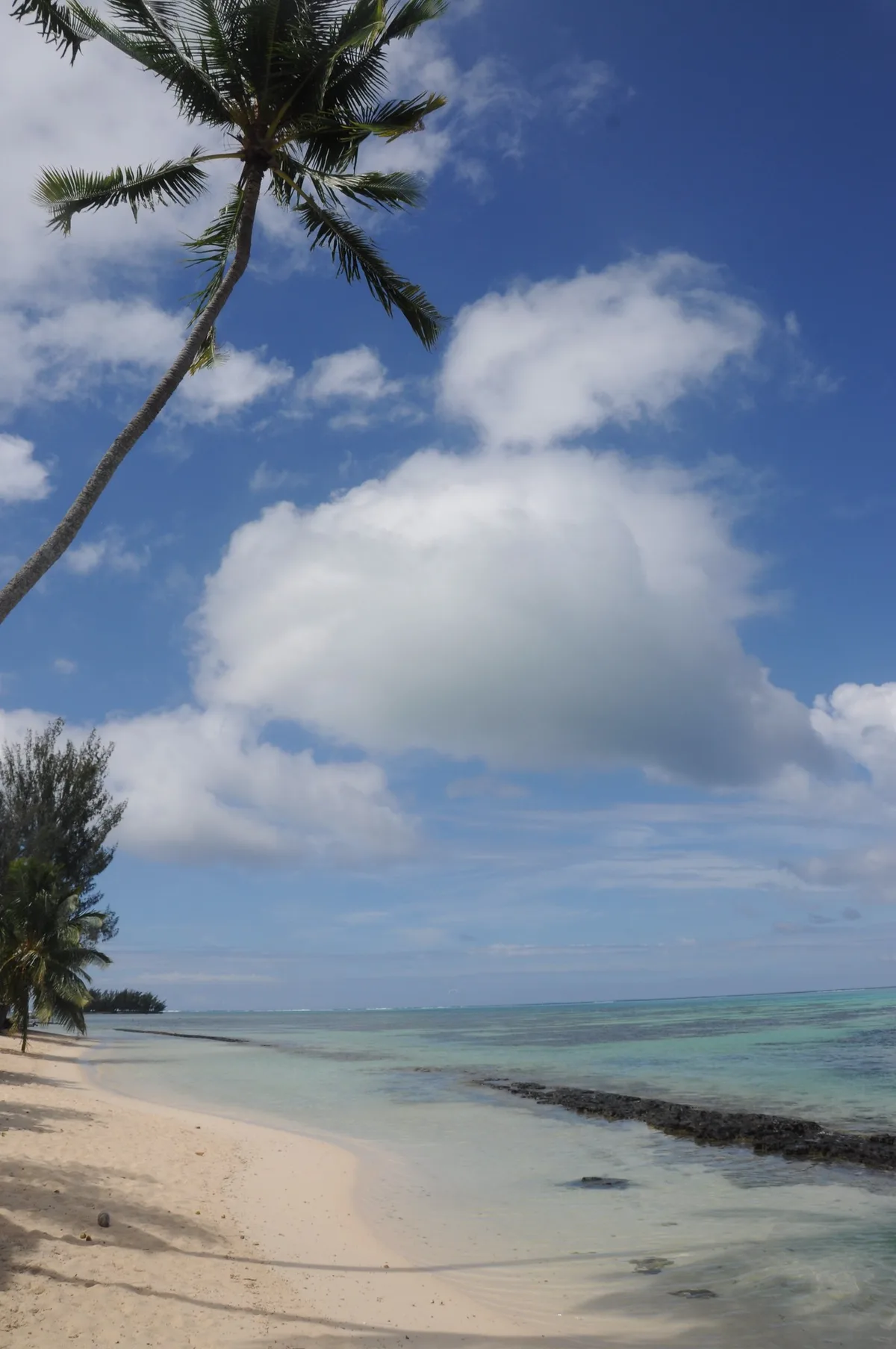 Playa de Tiahura, Moorea-Maiao, Windward Islands, Polinesia Francesa — 3
