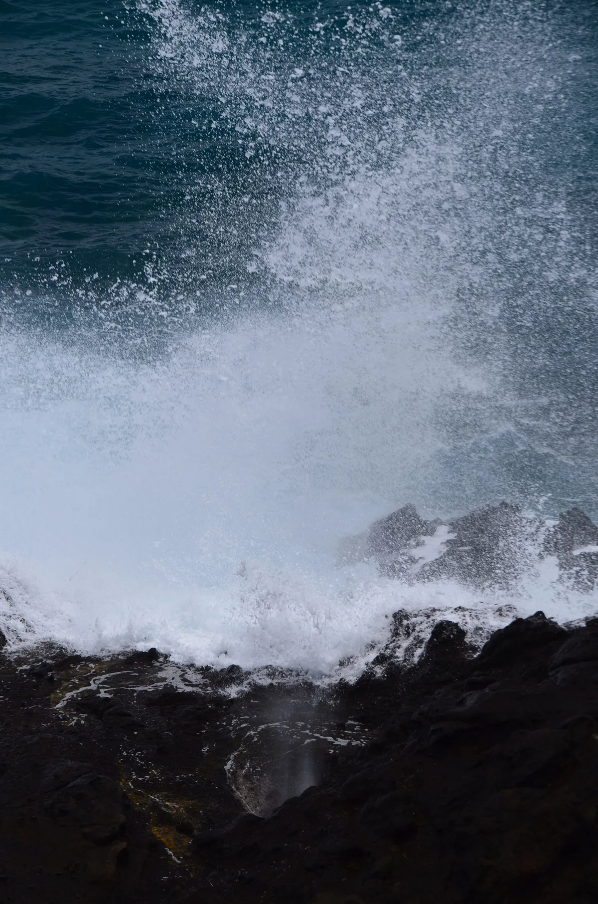 Sandy Beach Park, Honolulu, Hawaii, États-Unis — 5