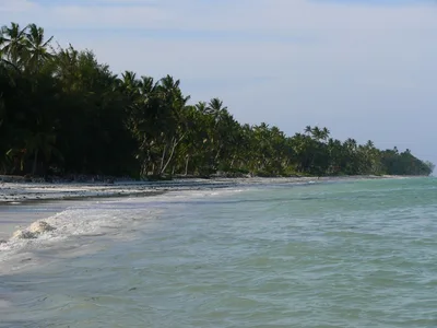 Bwejuu Beach, Bwejuu, East African Coast, Tanzania — 3