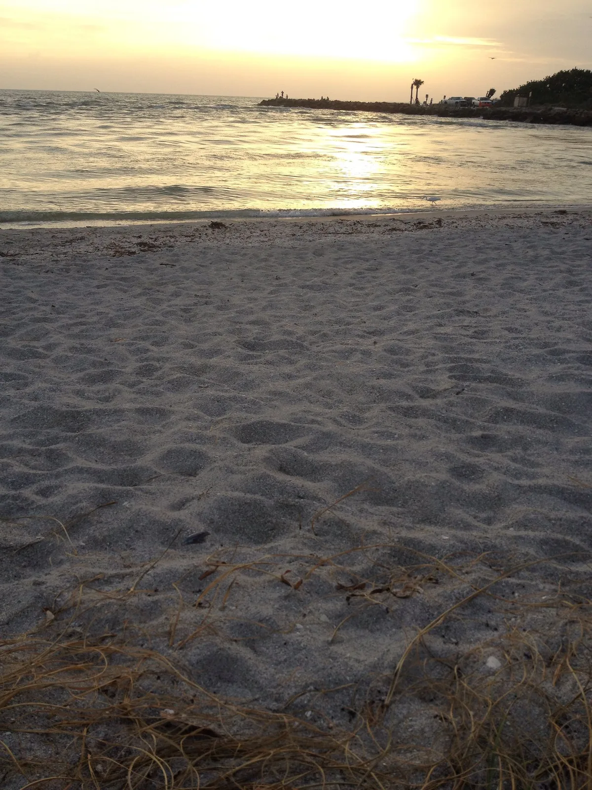 Blind Pass Beach, Sanibel, Florida, United States — 3