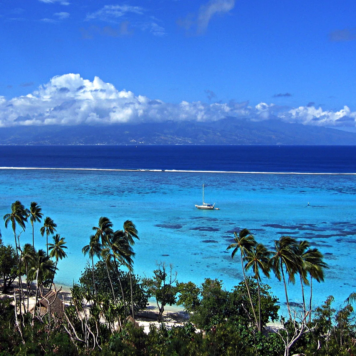Public Beach, Moorea-Maiao, Windward Islands, Französisch-Polynesien — 3