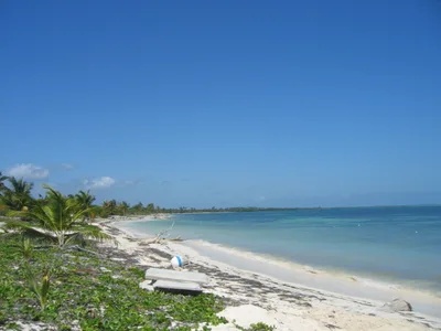 Playa de Punta Allen, Tulum, Yucatan Caribbean, México — 3