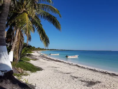Plage de Punta Allen