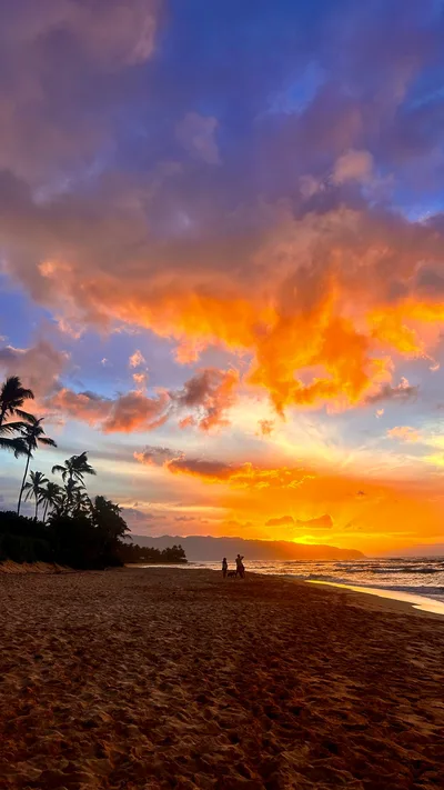 Playa de Laniakea, Haleiwa, Hawaii, Estados Unidos — 3