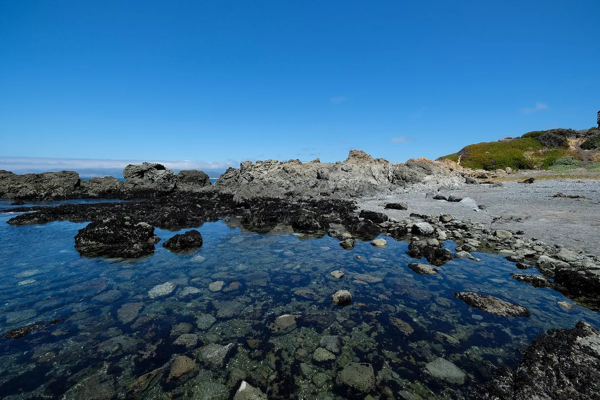 Praia de MacKerricher State Park, Fort Bragg, California Coast, Estados Unidos