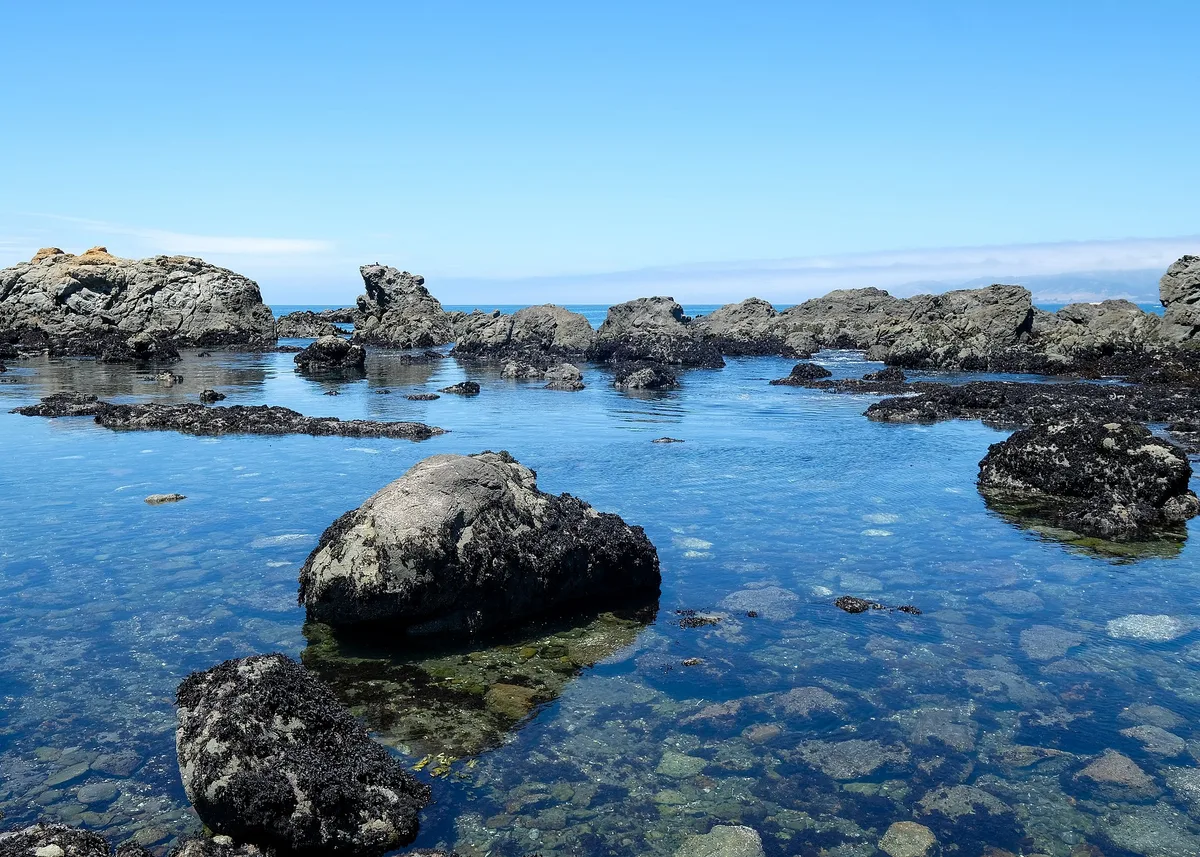 Praia de MacKerricher State Park, Fort Bragg, California Coast, Estados Unidos — 2